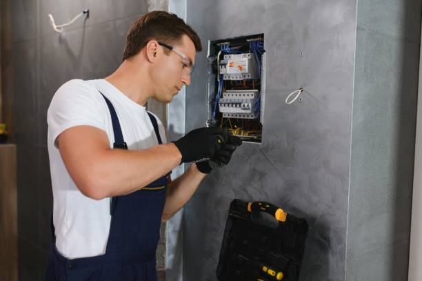 Best Local Electrician Companies  in La Paloma, TX